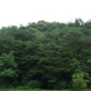 시곡2리 마을회관 이미지