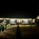 비비엔다 제주 이미지