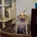 멍타주 | 미국 생활 32