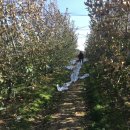 아름사과공원 이미지