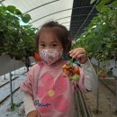 물금엔젤어린이집 이미지