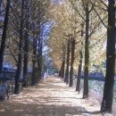 가족(조각) 이미지