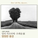이다디자인연구소 이미지