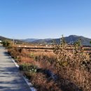 내방상삼로 이미지