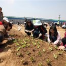 대한농장1 이미지