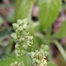 길인목장 이미지