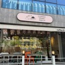 양재카페 팔월오일 커피 내돈내산 후기