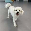 리츠펫 강남세곡점 이미지