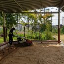 서울어울초등학교 이미지