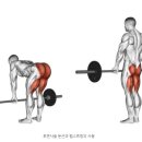 워너짐 반여 이미지