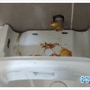 단구동 행정복지센터 화장실 이미지
