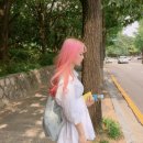 피피서울(PP SEOUL)