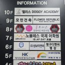 YH프라자 | [부산/해운대] 해운대점핑_다이어트에 최고 유산소 운동 ㄹㅇ입니다 저 진지합니다.