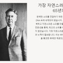 매그니파이
