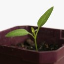 자연인한의원 이미지