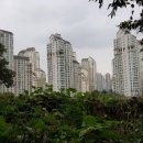 영통자이공인중개사사무소 이미지
