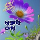 🌼국화 향기 좋은 날~♡ 기분 좋은 당신이 있어 행복합니다!🌼 이미지