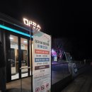 블링블링 | 2026년 고령 야간 데이트명소 고령수목원 블링블링플라워링 솔직 후기