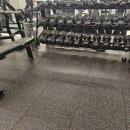 블랙맘바짐 이미지