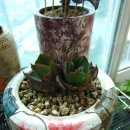 양진농장 이미지