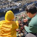 선화농장2 이미지