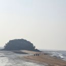 봄바스 민박 이미지