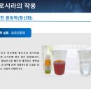 시라솔루션 이미지