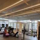 루다피티 이미지