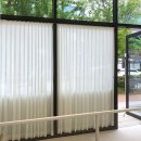 그루밍리본 이미지