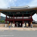 금성관광주