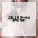 브이의원 이미지