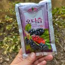 설산소리 | 설산소리 오디생즙 100 후기 국내산 오디 100% 무첨가 건강즙