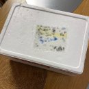 맛있어서 4일 내내 먹은,,, ‘진심담육 치즈돈까스’ 후기