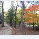 사명대사길 이미지