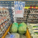 우리야채청과 이미지