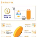 다바요 안경 네이버블로그