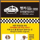 파트너펫 이미지