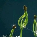 만당 이미지