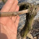 방우농장 이미지