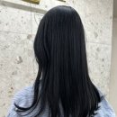 회기역 경희대 미용실 엣플레이살롱 톤다운 새치염색 후기