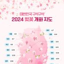 🌸🌸한눈에 보는 2024년 벚꽃 개화 시기🌸🌸 이미지