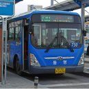 새대덕약국 네이버블로그