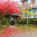 나무뜨락 이미지