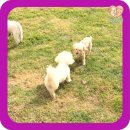 기다리다 이미지