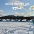 제주 겨울 가볼만한곳 마방목지 추천 드라이브 코스 눈구경 스팟 cctv 교통통제 확인 꿀팁