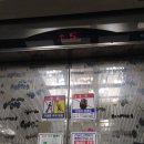 마이다스투 네이버블로그