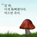 다온심리상담센터