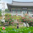 [주말] 서양화 | 경기도 성남 갈만한곳 주말 나들이 배롱나무와 연꽃이 반기는 청계산 옛골 정토사 꽃구경