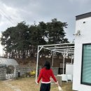 보니스테이 이미지