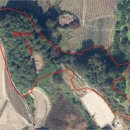 백운면 2062 이미지